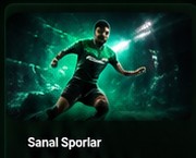 Sanal sporlar
